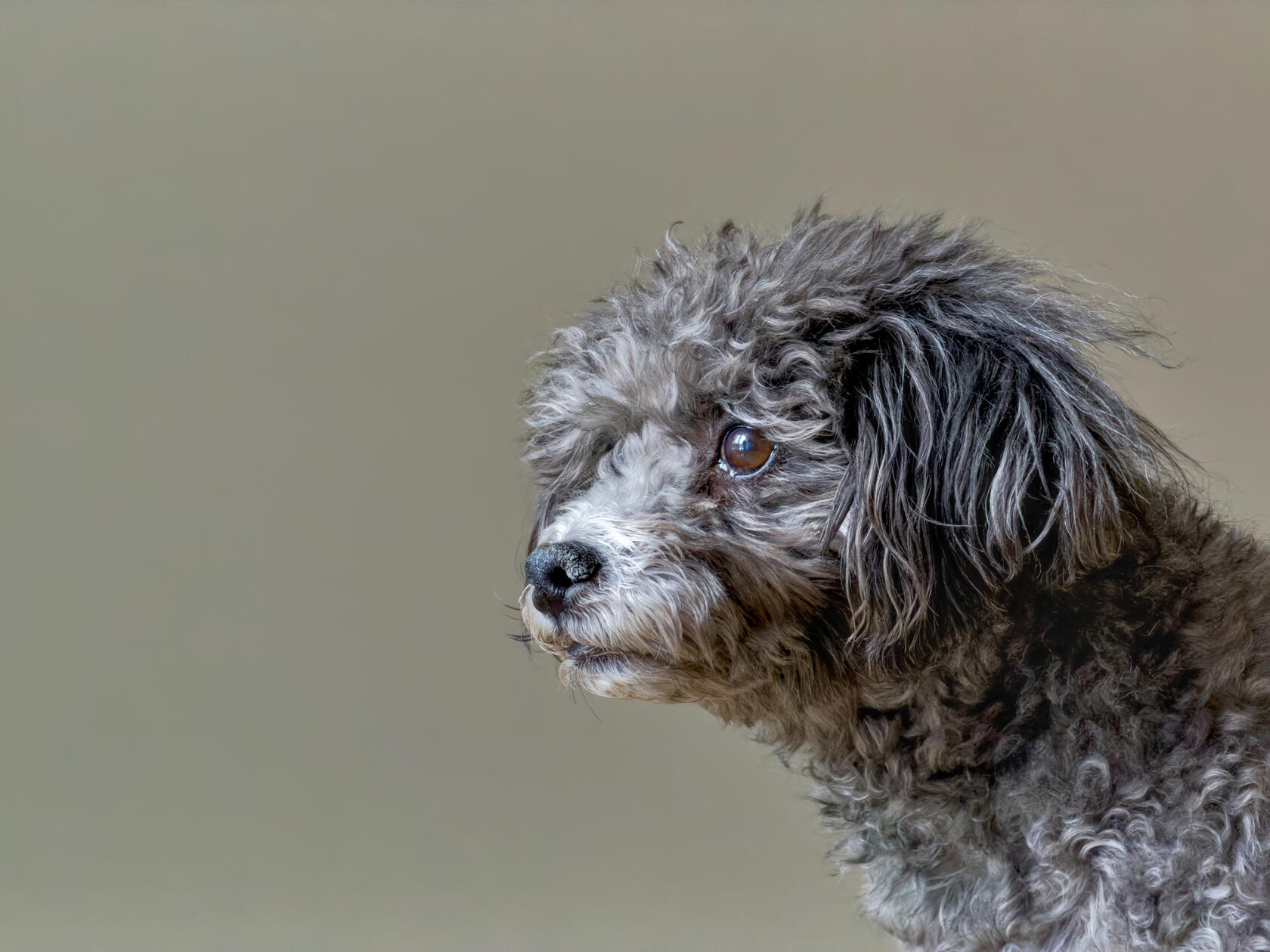 This one was taken on iphone